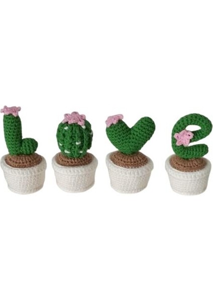 Love Kaktüs Seti Amigurumi Organik Oyuncak