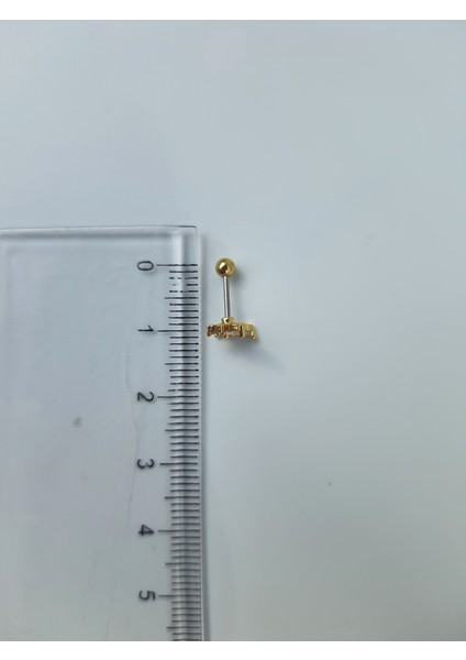 Kelebek Çelik Zirkon Taşlı Tragus Helix Lob Kıkırdak Piercing modelleri