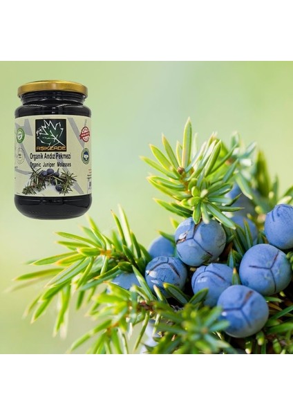 Organik Andız Pekmezi 370ML 480 G