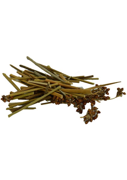 Kayışkıran Otu Doğal 1000 gr Paket modelleri