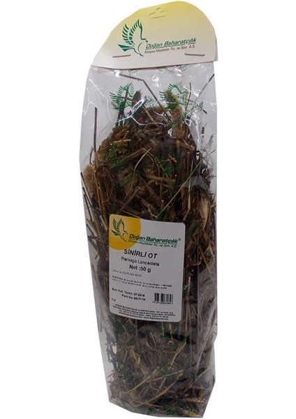 Sinirli Yaprak Otu Sinirli Ot Doğal 50 gr Paket fiyatları