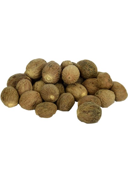 Hint Cevizi Muskat Küçük Hindistan Cevizi Doğal 1000 gr Paket