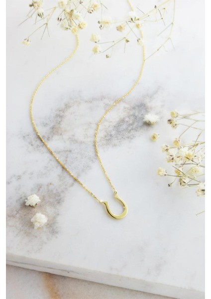 925 Ayar Gümüş At Nalı Kolye fiyatları