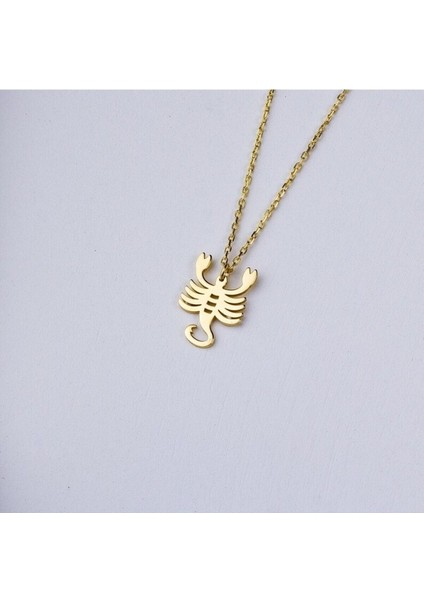 925 Ayar Gümüş Akrep Burcu Kolye fırsatları