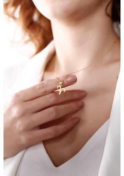 Has Altın Kaplama Koç Burcu 925K Kolye modelleri