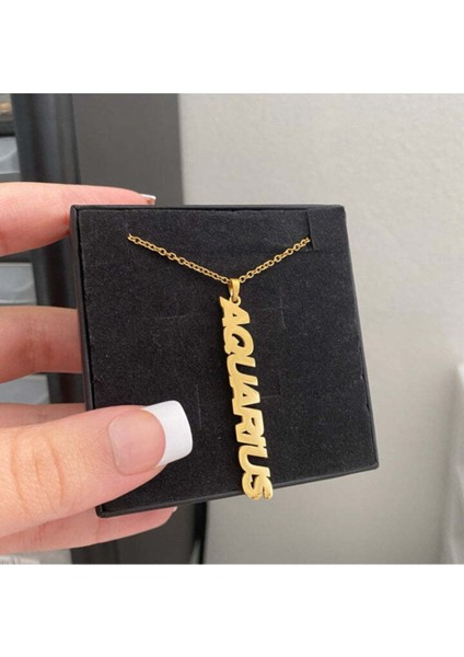 925 Ayar Gümüş Kova Burcu Kolye