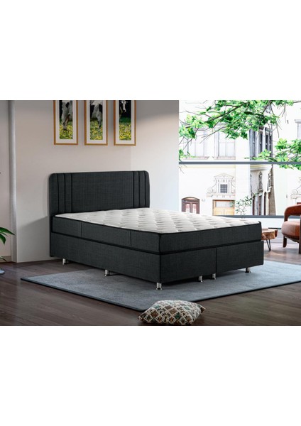 Niron Scarface 80X180 cm Tek Kişilik Full Ortopedik Sert Yatak