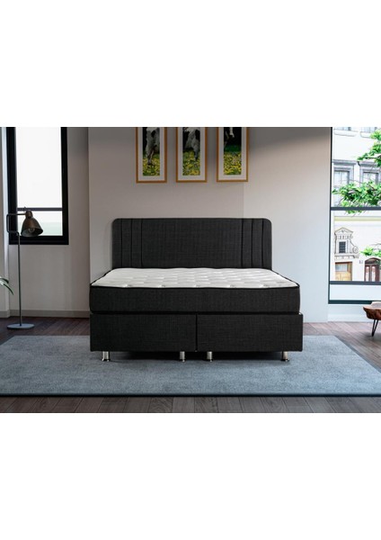 Niron Scarface 80X180 cm Tek Kişilik Full Ortopedik Sert Yatak