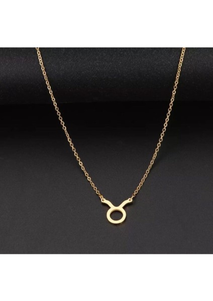 925 Ayar Gümüş Boğa Burcu Sembol Kolye