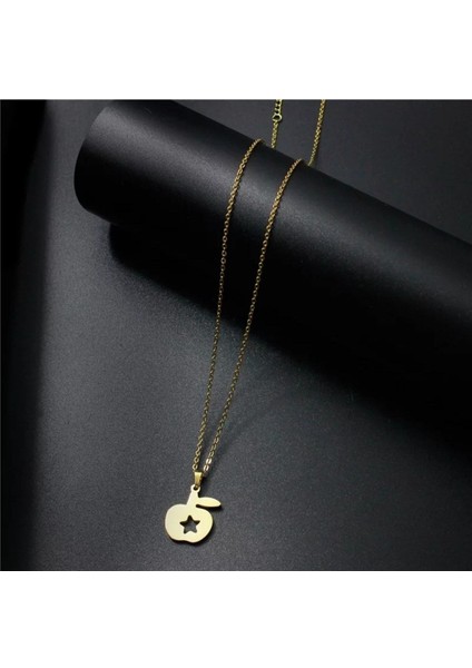 Has Altın Kaplama Yıldız Elma 925K Kolye fiyatları