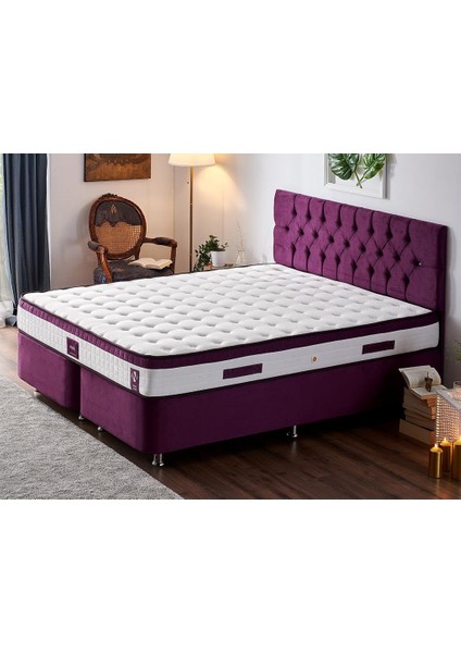 Niron Violet Yatak Seti 140x190 cm Çift Kişilik Yatak Baza Başlık Takımı - Orta Sert Yatak Mor Baza ve Başlığı