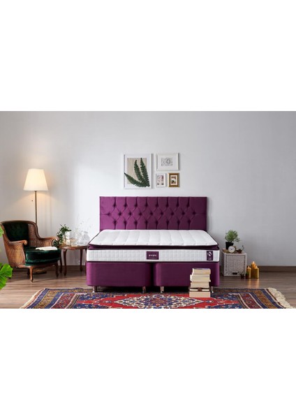Niron Purple Yatak Seti 160x200 cm Çift Kişilik Yatak Baza Başlık Takımı - Orta Sert Yatak Mor Baza ve Başlığı