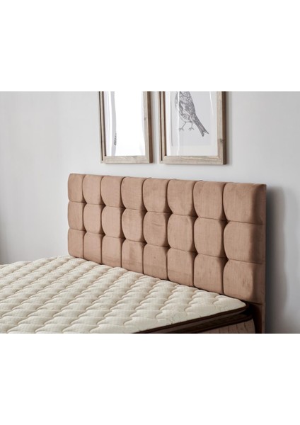 Niron Latte 120x200 cm Tek Kişilik Yatak Baza Başlık Seti - Sert Yatak, Kumaş Baza ve Başlık Takımı fırsatları