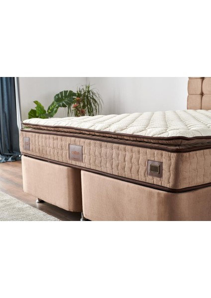 W. Cotton 140x190 cm Çift Kişilik Pedli Yatak Baza Başlık Takımı - Kumaş Baza, Başlık ve Yatak Seti