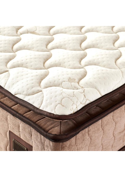 W. Cotton 80x180 cm Tek Kişilik Pedli Yatak Baza Başlık Takımı - Kumaş Baza, Başlık ve Yatak Seti