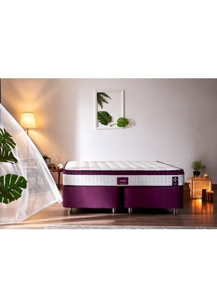 Niron Violet 150x200 Çift Kişilik Gizli Pedli Yatak Full Ortopedik Yaylı Yatak