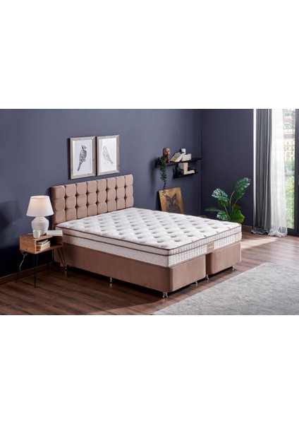 Niron Helen Tek Kişilik Tam Ortopedik Yatak 80x180 AloeVera Kumaş