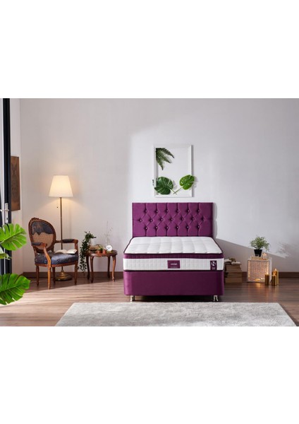 Niron Violet 120x200 Tek Kişilik Gizli Pedli Yatak Full Ortopedik Yaylı Yatak