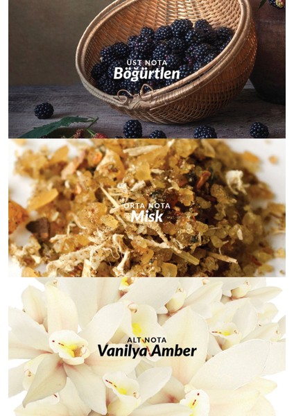 Attraction Kadın Parfüm Edp 30 Ml. modelleri