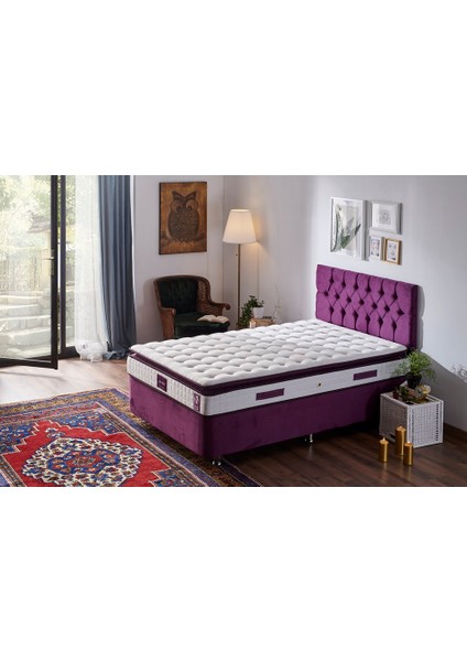 Niron Purple 100x200 Tek Kişilik Pedli Yatak Full Ortopedik Yaylı Yatak