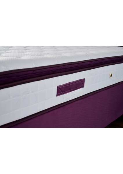 Niron Purple 100x200 Tek Kişilik Pedli Yatak Full Ortopedik Yaylı Yatak