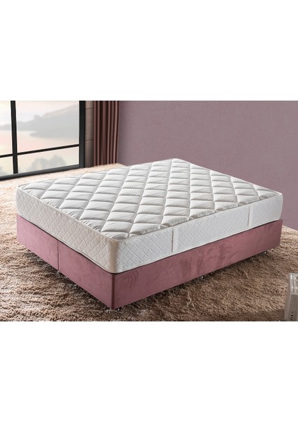 Niron Daisy 100x200 cm Tek Kişilik Lüks Ortopedik Orta Sert Yatak