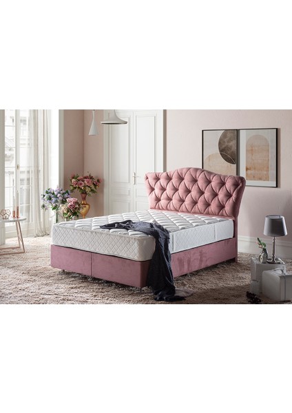 Niron Daisy 100x200 cm Tek Kişilik Lüks Ortopedik Orta Sert Yatak