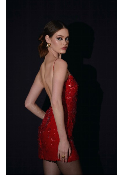 Rouge Payetli Mini Elbise