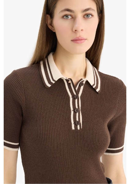 Regular Fit Düğmeli Polo Yaka Kısa Kollu Triko Kazak D4233AX25SP