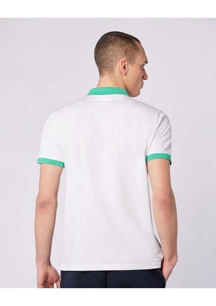 Tony Polo Tee Erkek Beyaz-Lacivert-Yeşil Regular Fit Polo Yaka Tişört fırsatları
