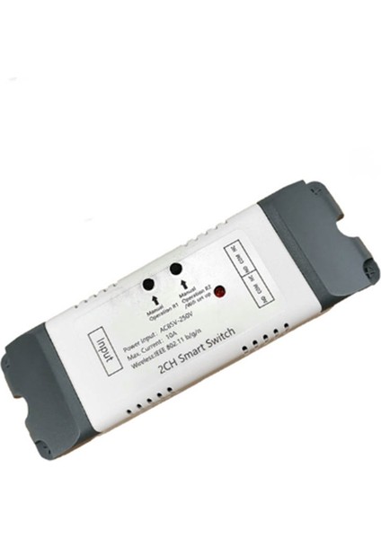 Akıllı Wifi Röle Anahtarı 2 Kanal Röle Akıllı Ev Wifi Modülü Dc 5V 12V 24V 32V 110V 220V Kablosuz Anahtar Zamanlayıcı(C) (Yurt Dışından)