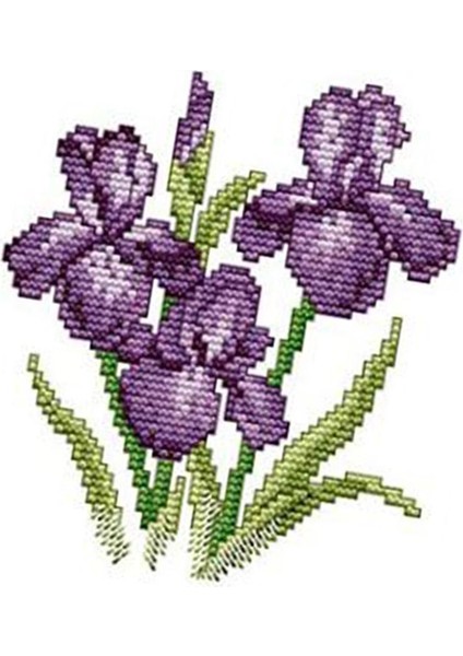 Çiçek Boyutları El I Çapraz Ş Dıy Needlecraft 21X21CM 11CT (Yurt Dışından)