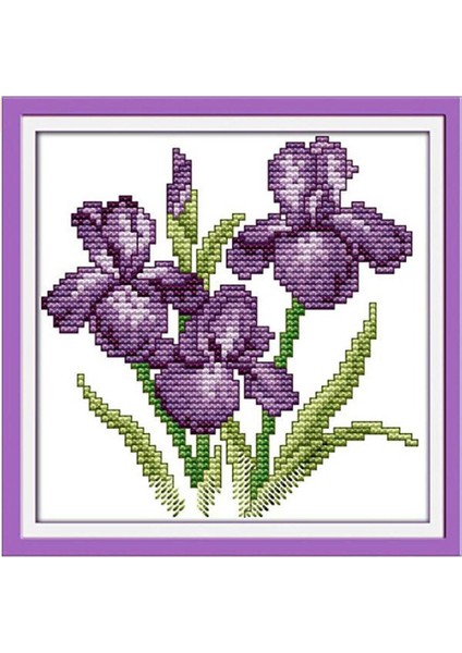 Çiçek Boyutları El I Çapraz Ş Dıy Needlecraft 21X21CM 11CT (Yurt Dışından) modelleri