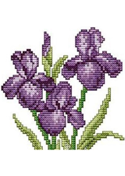 Çiçek Boyutları El I Çapraz Ş Dıy Needlecraft 21X21CM 11CT (Yurt Dışından) fırsatları