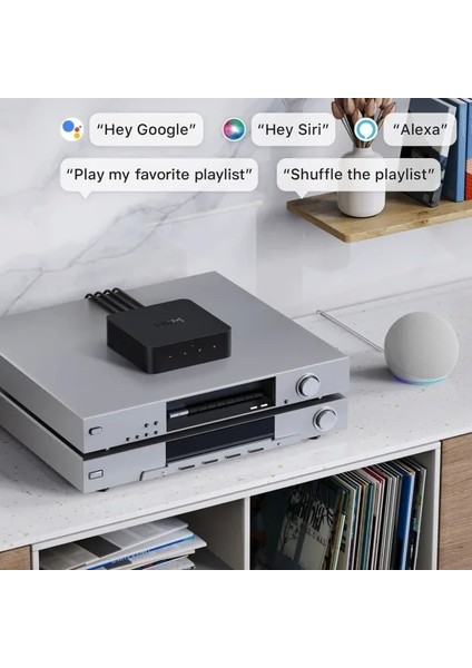 Pro Airplay 2 - Wifi Çok Odalı Yayıncı Chromecast Wiim Pro Plus