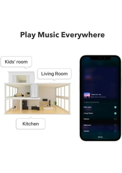 Pro Airplay 2 - Wifi Çok Odalı Yayıncı Chromecast Wiim Pro Plus