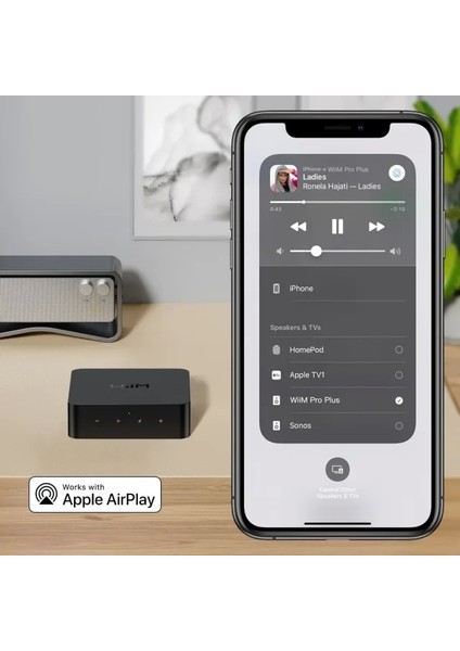 Pro Airplay 2 - Wifi Çok Odalı Yayıncı Chromecast Wiim Pro Plus