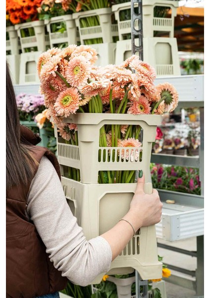 232825 Midi Strawberry Vazo Üst indirimleri