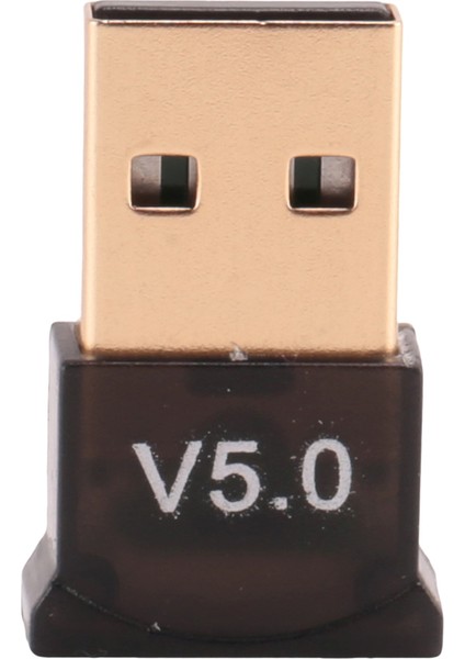 Pc Için USB Bluetooth 5.0 Adaptörü WIN10/8.1/8/7/BLUETOOTH Dongle Alıcı/verici Kulaklığı Bağlama Desteği Için (Yurt Dışından)