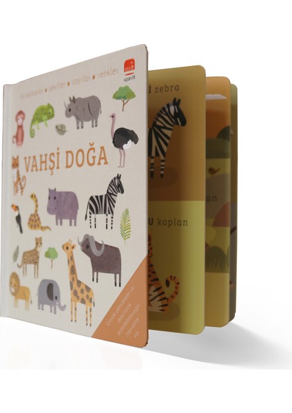 Say Bul Eğlen / Vahşi Doğa
