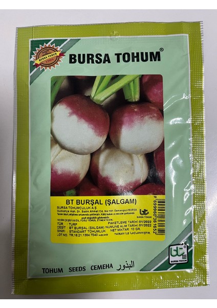Bt Burşal (Şalgam)
