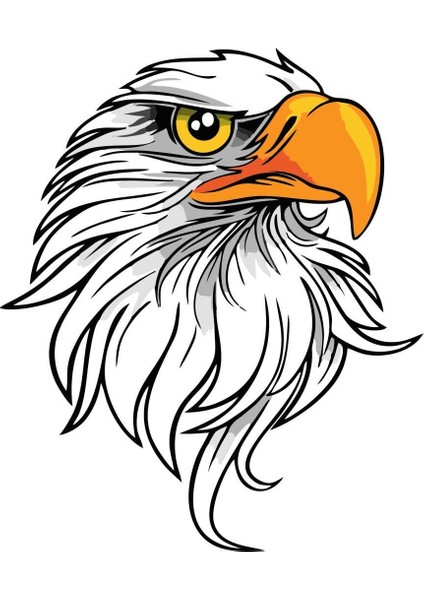 Master Kartal Sticker Oto Motor 15 cm Çıkartmalar Araba Kamyon Motosiklet Suv
