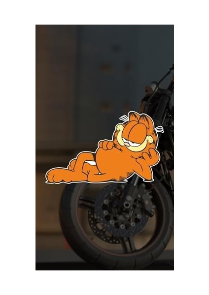 Master Garfield Motorsiklet,kask,laptop,motor ve Oto Araç Sticker 13 x 8 cm modelleri