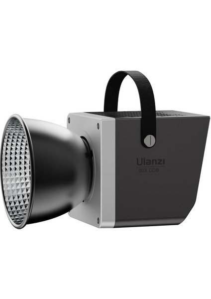 LT005 60W Bi-Color Cob Light