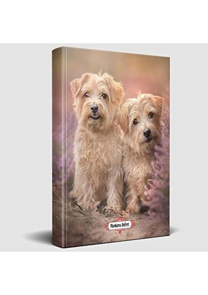 Ikili - Süresiz Planlama Defteri