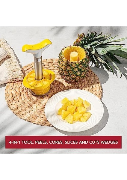 Vin Ananas Dilimleyici Paslanmaz Çelik modelleri