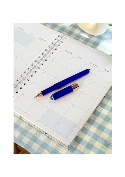 Journals Akademik Ajanda 2024-2025 Gizli Spiralli 17X23CM 100GR. modelleri
