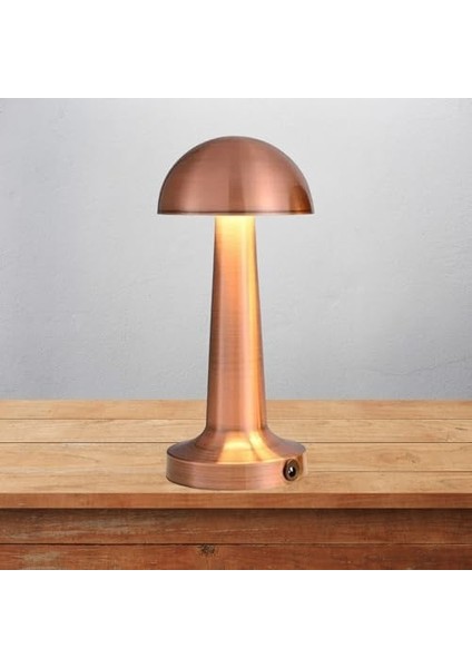 Şarjlı Masa Lambası Dimmerli Dekoratif Abajur Lizbon Dokunmatik Cafe Masa Lambası 3 Renk Işık Modu modelleri