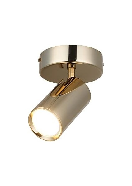 Lıpale Tekli Altın Plafonyer 1XGU10 fiyatları