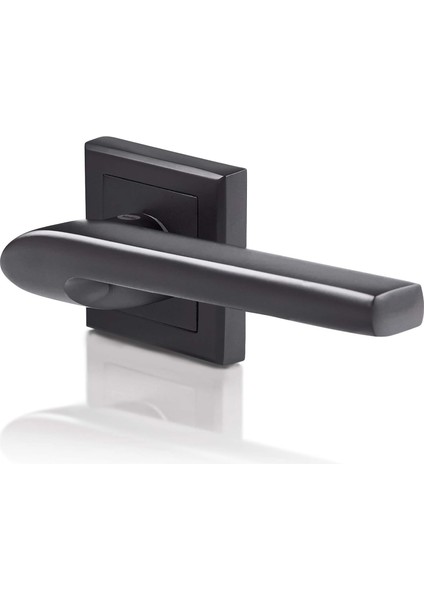 Siena Serisi 35-ZR-8X8-A002-WC-56-11 - Rozetli Wc Tip Kolu - Siyah Mat Kaplama - Parçalar Dahildir, Key Type